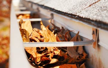 Lower Gledfield gutter cleaning companies