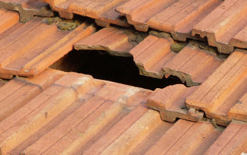 roof repair Lower Gledfield, Highland